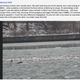 An entry from one of Vaughan’s eBird lists.
